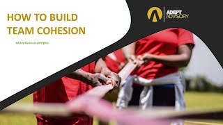 How to Build Team Cohesion by Adept Advisory