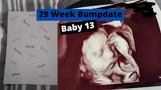 29 WEEK BUMPDATE FOR BABY 13 | FINAL NAME LIST | BABY GROWTH | Large Family of 14