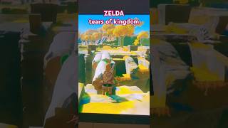 zelda tears of kingdom #gameplay #zeldatearsofthekingdom ￼