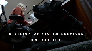 Meet K9 Rachel of our Division of Victim Services