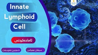 Innate Lymphoid Cell - لیمفەخانەی بەرگری گشتی و بنەڕەتی