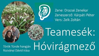 Teamesék: a hóvirágmező