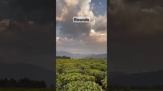 God Blessed Country in Africa #travel #africancapital #visitrwanda #africancity #viralvideo #nature