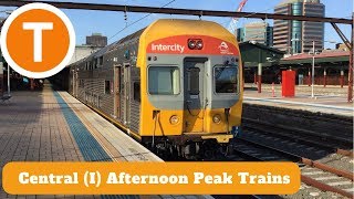 Adam's Trains Vlogs: Central (I) Afternoon Peak Trains