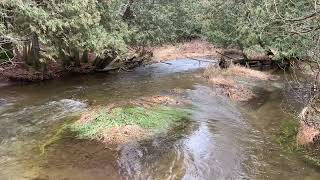 River in Winter During My Walk (Boyne Valley Provincial Park) #virtualhike #nature #watersounds