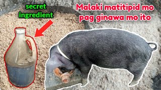 SIGURADONG MAKAKATIPID KA DITO, SA HOME MADE NA PAGKAIN NG PIGS MO, PANOORIN MO ITO