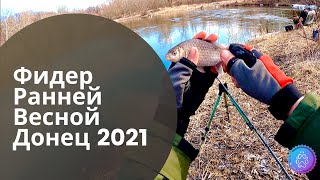 ФИДЕР РАННЕЙ ВЕСНОЙ. Рыбалка на Северском Донце 2021