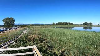 pond near iona beach