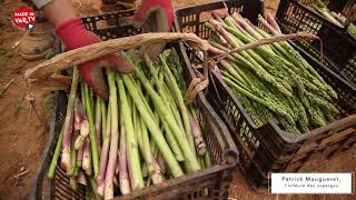 Patrick Maugueret, producteur d'asperges à Hyères -  Made in Var tv   Mai 2018