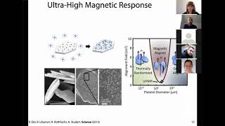 LMS Seminar - November 30, 2020 - Florian Bouville