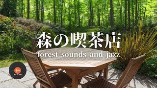 Ambient sounds + JAZZ Gentle forest coffee shop Relaxing work/study CAFE MUSIC - BGM for work