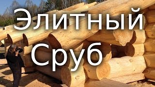 Элитный сруб Георгия Морозова. Лирическое отступление