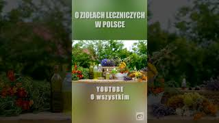 Zioła Lecznicze w Polsce #shrots #ciekawostki #polska #top #dlaciebie #viral #fakty #tradycja