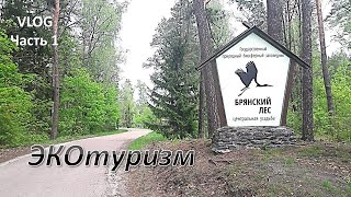 Едем в заповедник «БРЯНСКИЙ ЛЕС» / ЭКОтуризм