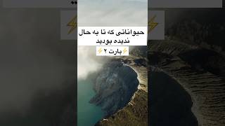 حیواناتی که تا به حال ندیده بودید پارت ۲