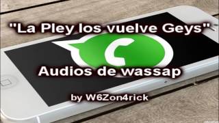 La Pley los Vuelve Geys - Audios de Wassap