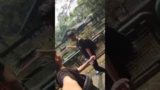 karyawisata di ragunan cuma berdua,rombongan nya kemana dek!!