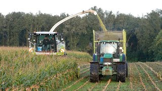 John Deere 7430 + Claas Jaguar 940 van loonbedrijf gebr. Buma - Mais hakselen in Nijemirdum