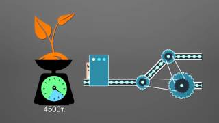 THE BIO-COMPLEX PRESENTATION (2d infographics)