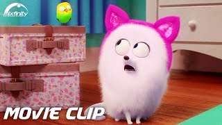 The Secret Life Of Pets 2 Movie Clip "Cat Lessons" (2019) HD | Mixfinity International