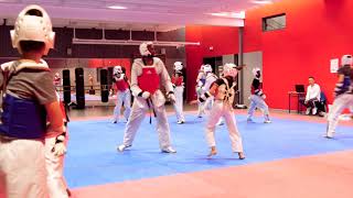 TRAINING SÉANCES D'OPPOSITION (VAN THUYNE TKD)