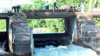 Adding a log to the Minden Wild Water Preserve Dam