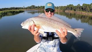 there’s REDFISH in Georgia