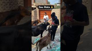 Gau Mata 🙏❤️ #hindu #gaumata #cow #god #youtubeshorts