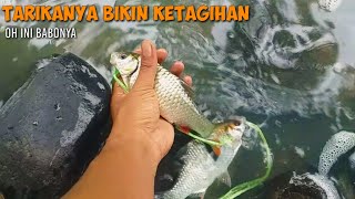 Lihatlah hasil memancing saya