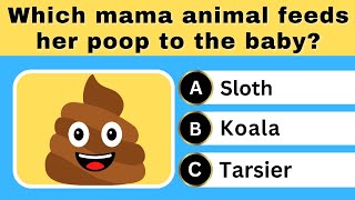 Animal Quiz | The Amazing Moms Of The Animal Kingdom | Quizzer Bee