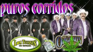 puro corrido chingón 💥💥 los tucanes de Tijuana los originales de san juan