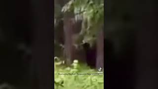 Bigfoot Stalks Mother and Daughter #scary #bigfoot #paranormal #shorts #viral #creepy #stalker #omg