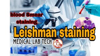 Leishman stain procedure