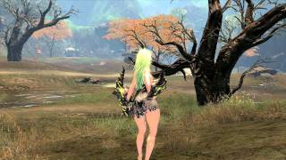 NACKED FEMALE COMBAT (Blade & Soul)