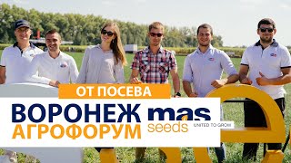 Агрофорум  MAS Seeds ЦФО (от посева)