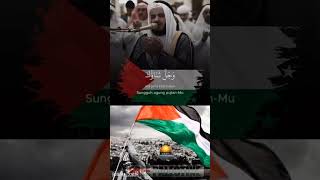 #savepalestine #freedomforpalestine #viral #shorts