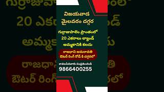 Land for Sale in Gurrajupalem | Mylavaram | Vijayawada | Amaravati | 9866400255 | #krishnadist