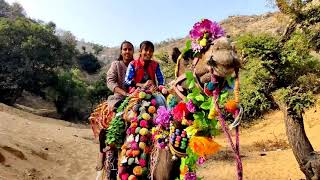 Camel 🐪🐪 riding