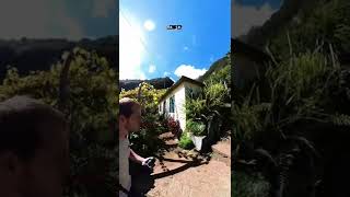 DU fliegst jetzt nach Madeira...