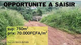 #terrain à vendre à Nkolbifan, face Parcours Vita, Yaoundé