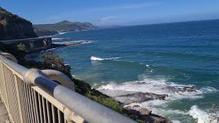 sea cliff bridge sydney