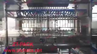 Manufacture automatic anti freezer brake liquid packing machine.