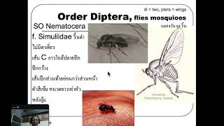 214312 entomology Part11