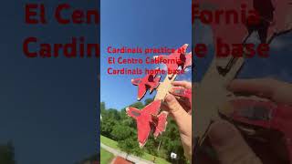 Naf El Centro California Cardinals practice at home base