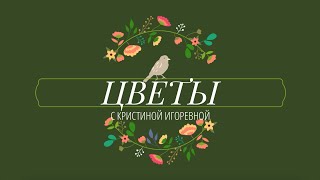 Знакомство с цветами