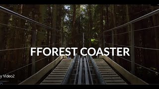 Zip World Fforest Coaster - UK Diaries | Himalayan Shutterbug