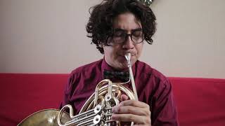 OSNJ- 26333644-5 - CORNO FRANCES - EXTRACTO TCAHIKOVSKY 2 HORN SOLO