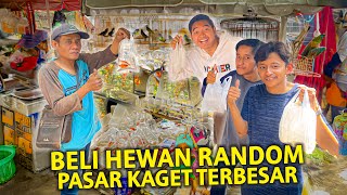 BELI HEWAN RANDOM DI PASAR KAGET TERBESAR BANDUNG! INI PASAR TUMPAH TERPADAT YANG PERNAH AKU DATENG!