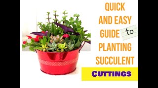 Propagating with Succulent Cuttings- Quick and Easy Tutorial