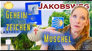 Welche BEDEUTUNG hat die JAKOBSMUSCHEL?! 🐚Serie: ➡Was man wissen muss! || 100 Fragen zum Jakobsweg|